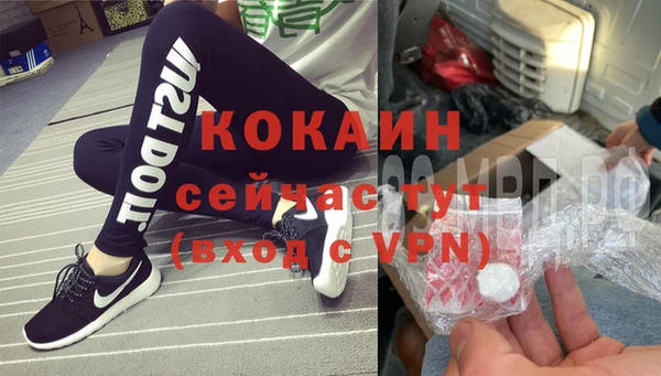 спайс Алексин