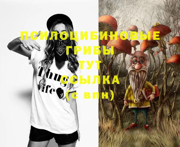 спайс Алексин