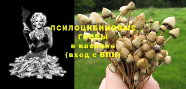 а пвп мука Алзамай