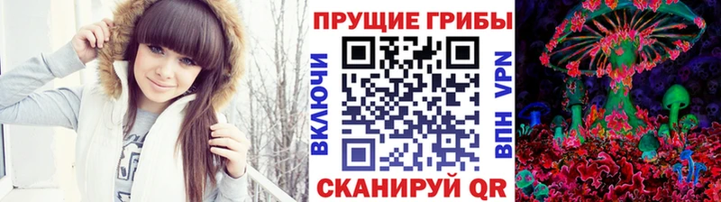 мега   хочу   Пущино  Галлюциногенные грибы MAGIC MUSHROOMS 